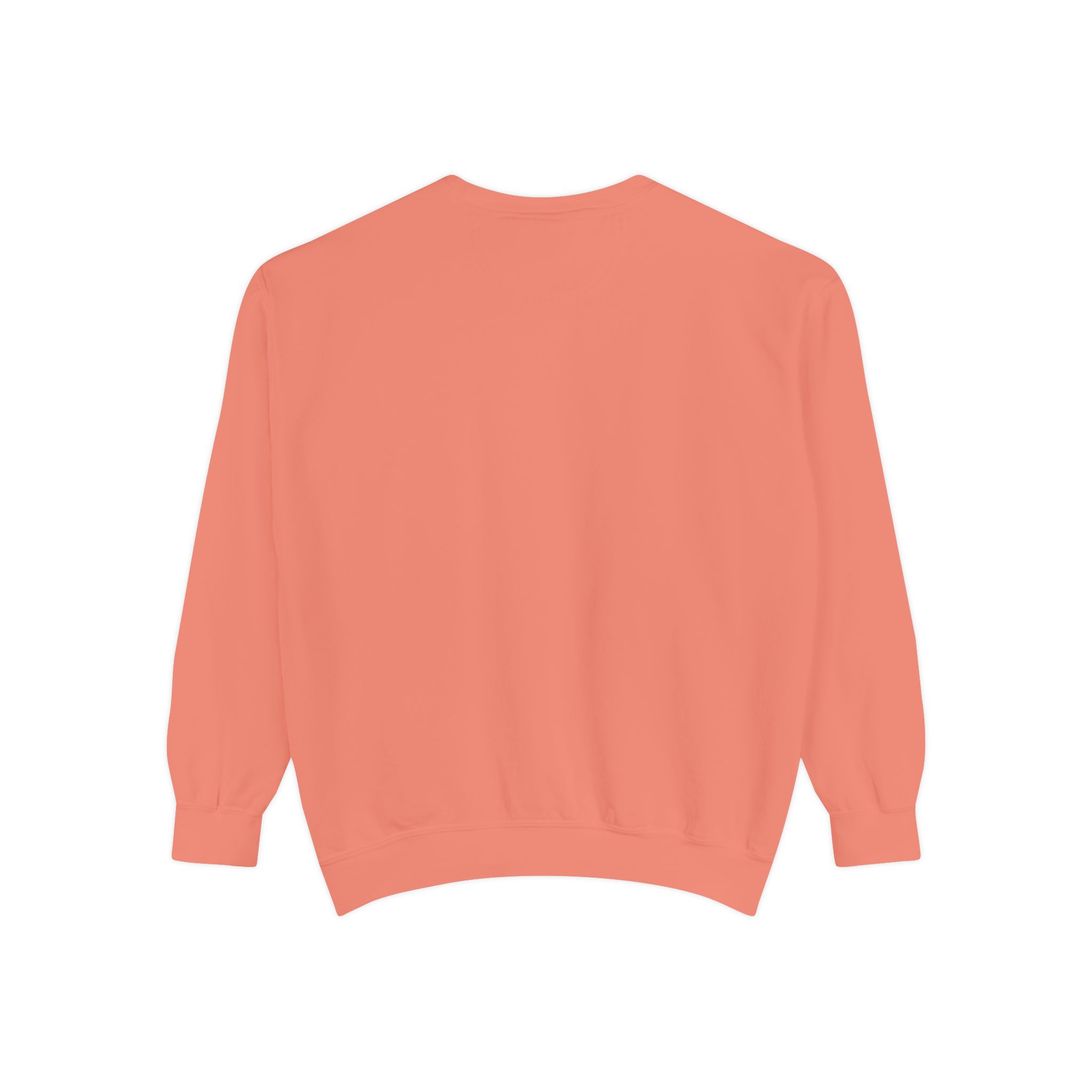 sweatshirt — heart graphic "you are literally the only person i like" — funny valentine's crewneck sweatshirt — heart graphic "you are literally the only person i like" — funny valentine's crewneck