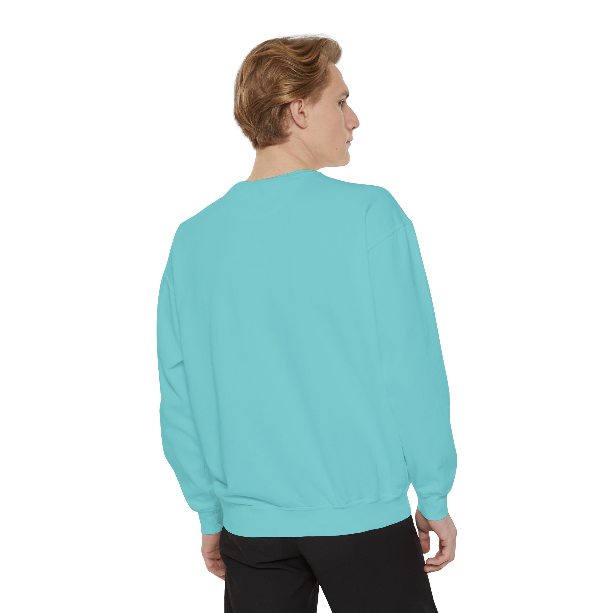 sweatshirt — heart graphic "you are literally the only person i like" — funny valentine's crewneck sweatshirt — heart graphic "you are literally the only person i like" — funny valentine's crewneck