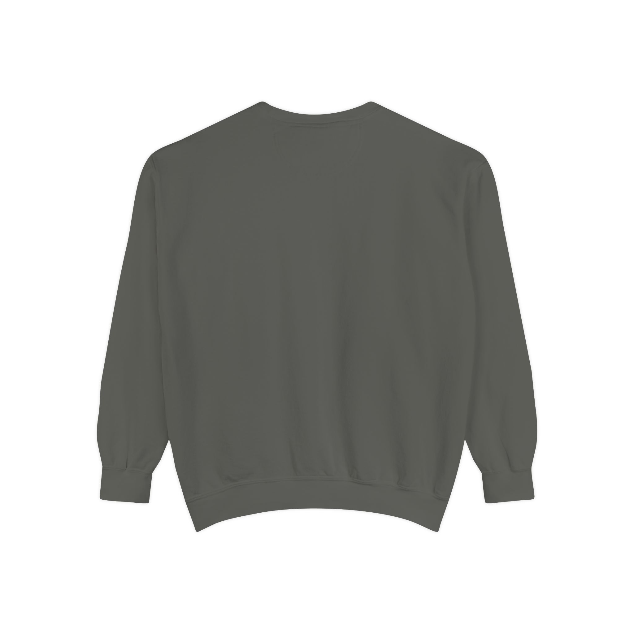 sweatshirt — heart graphic "you are literally the only person i like" — funny valentine's crewneck sweatshirt — heart graphic "you are literally the only person i like" — funny valentine's crewneck