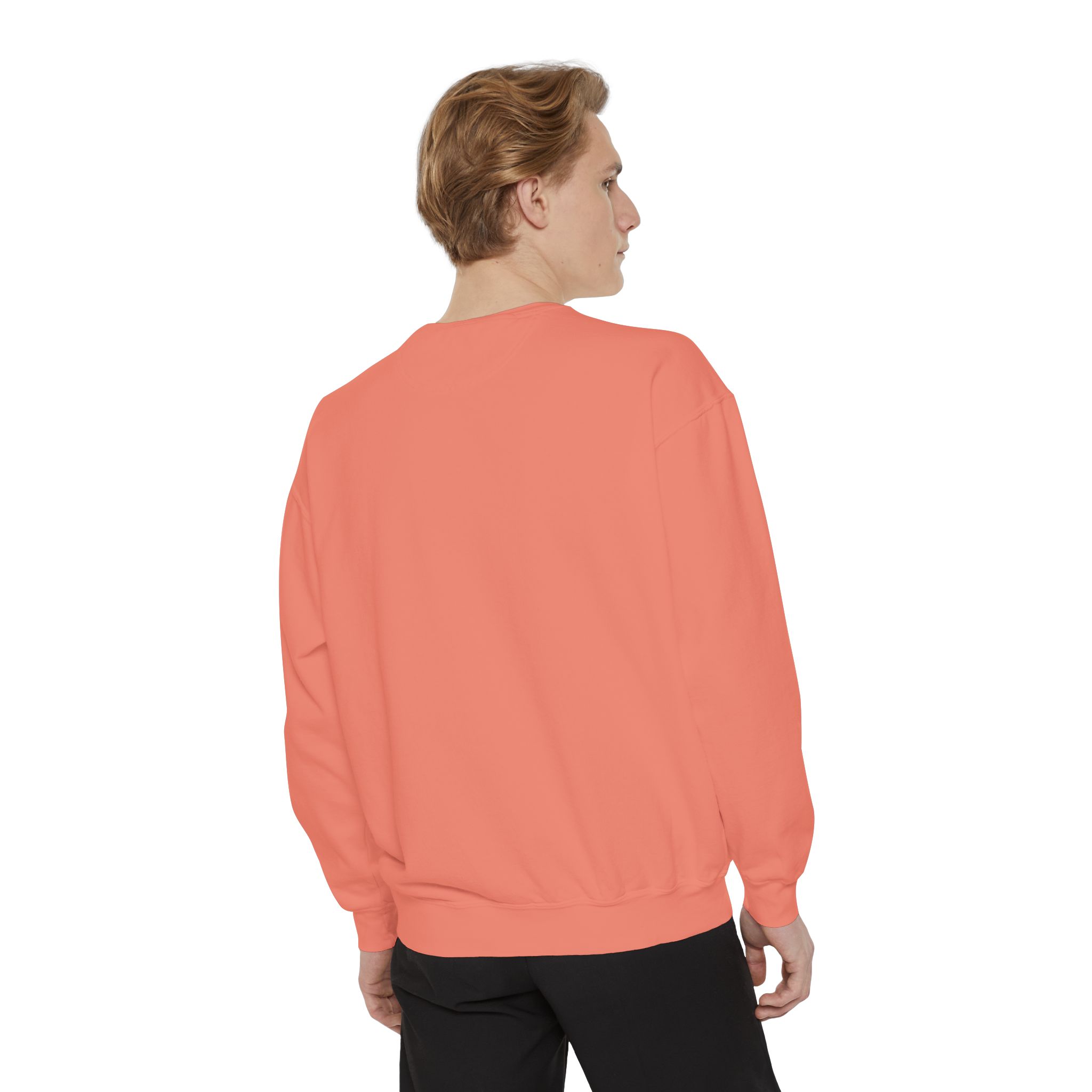sweatshirt — heart graphic "you are literally the only person i like" — funny valentine's crewneck sweatshirt — heart graphic "you are literally the only person i like" — funny valentine's crewneck