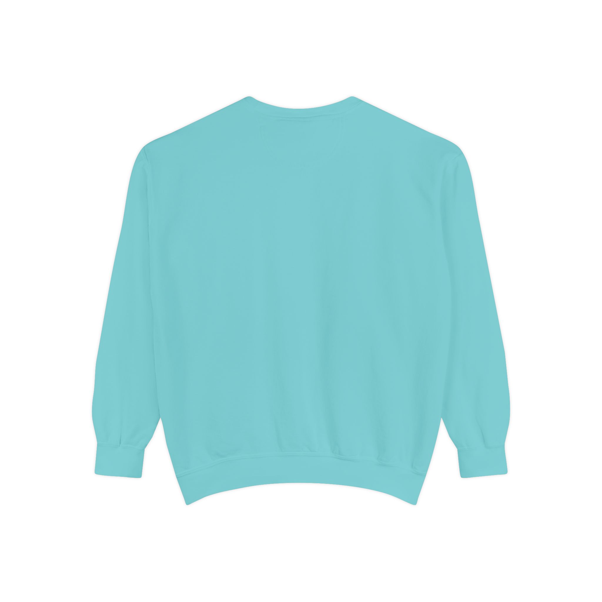 sweatshirt — heart graphic "you are literally the only person i like" — funny valentine's crewneck sweatshirt — heart graphic "you are literally the only person i like" — funny valentine's crewneck