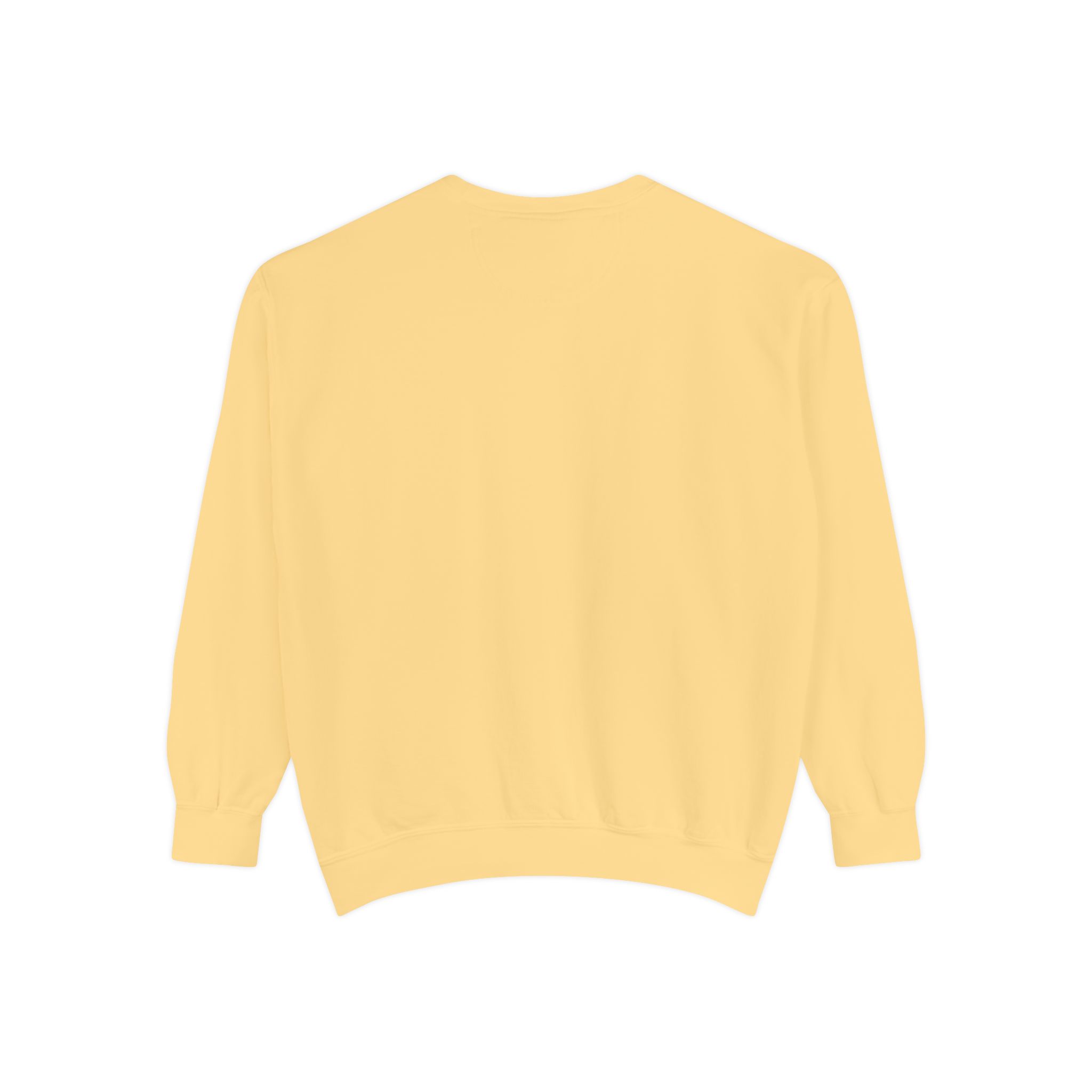 sweatshirt — heart graphic "you are literally the only person i like" — funny valentine's crewneck sweatshirt — heart graphic "you are literally the only person i like" — funny valentine's crewneck