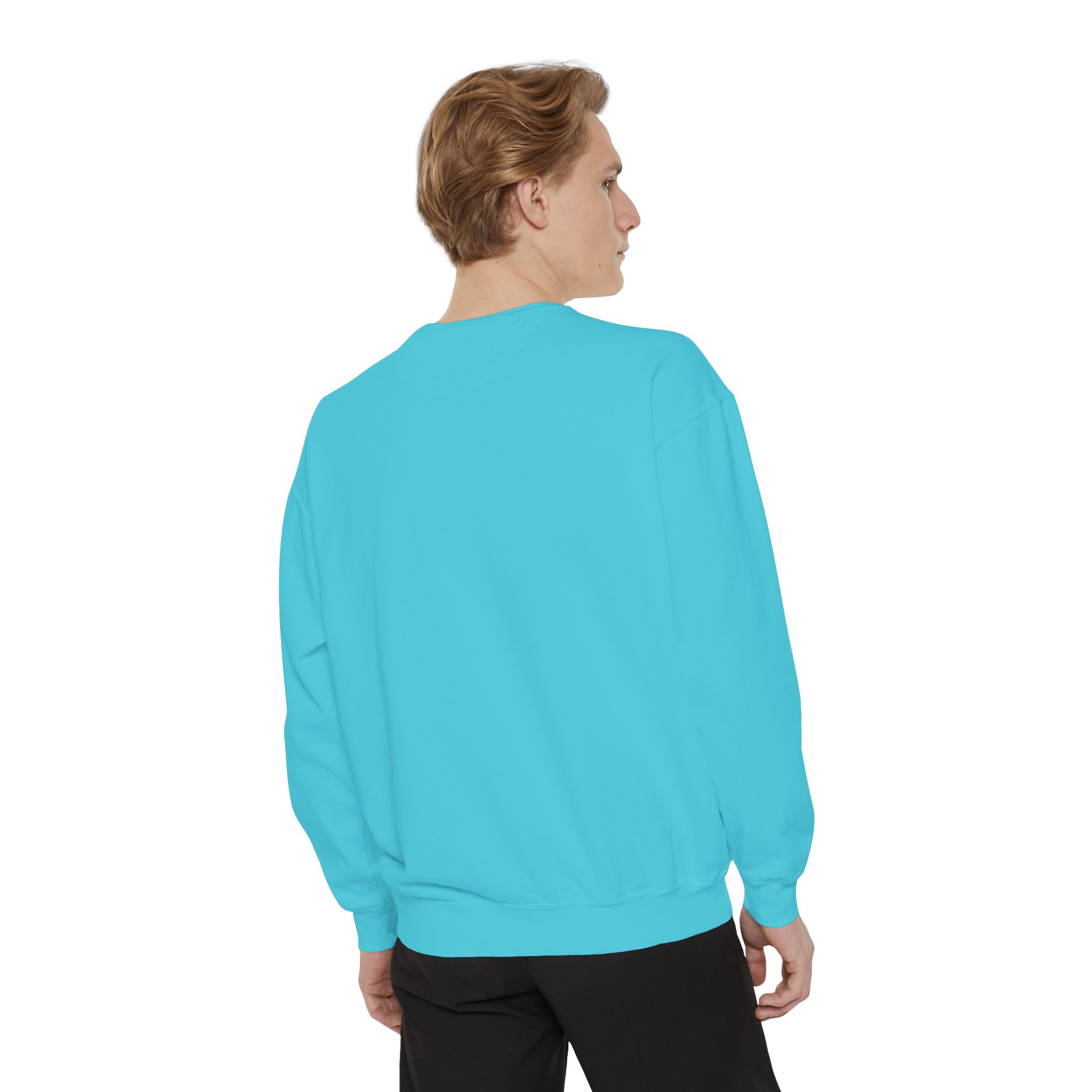 sweatshirt — heart graphic "you are literally the only person i like" — funny valentine's crewneck sweatshirt — heart graphic "you are literally the only person i like" — funny valentine's crewneck