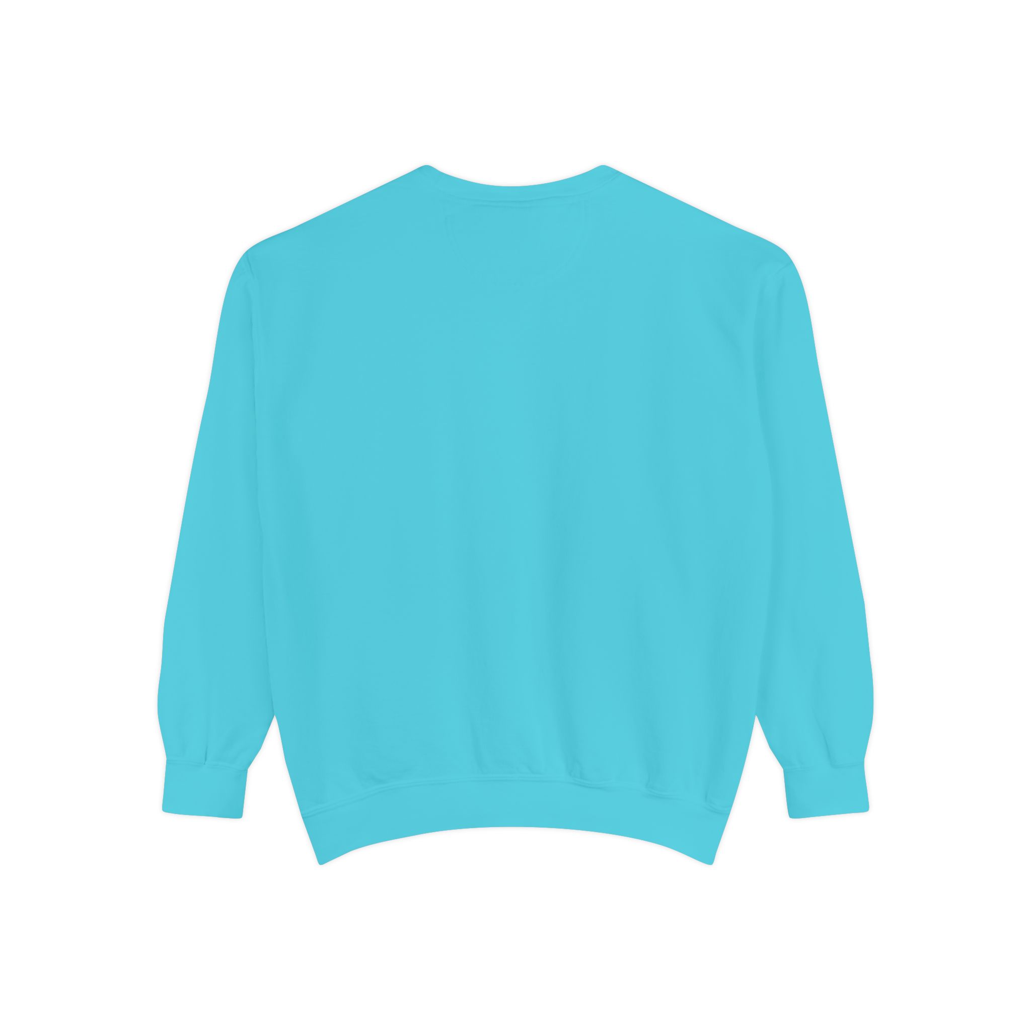 sweatshirt — heart graphic "you are literally the only person i like" — funny valentine's crewneck sweatshirt — heart graphic "you are literally the only person i like" — funny valentine's crewneck