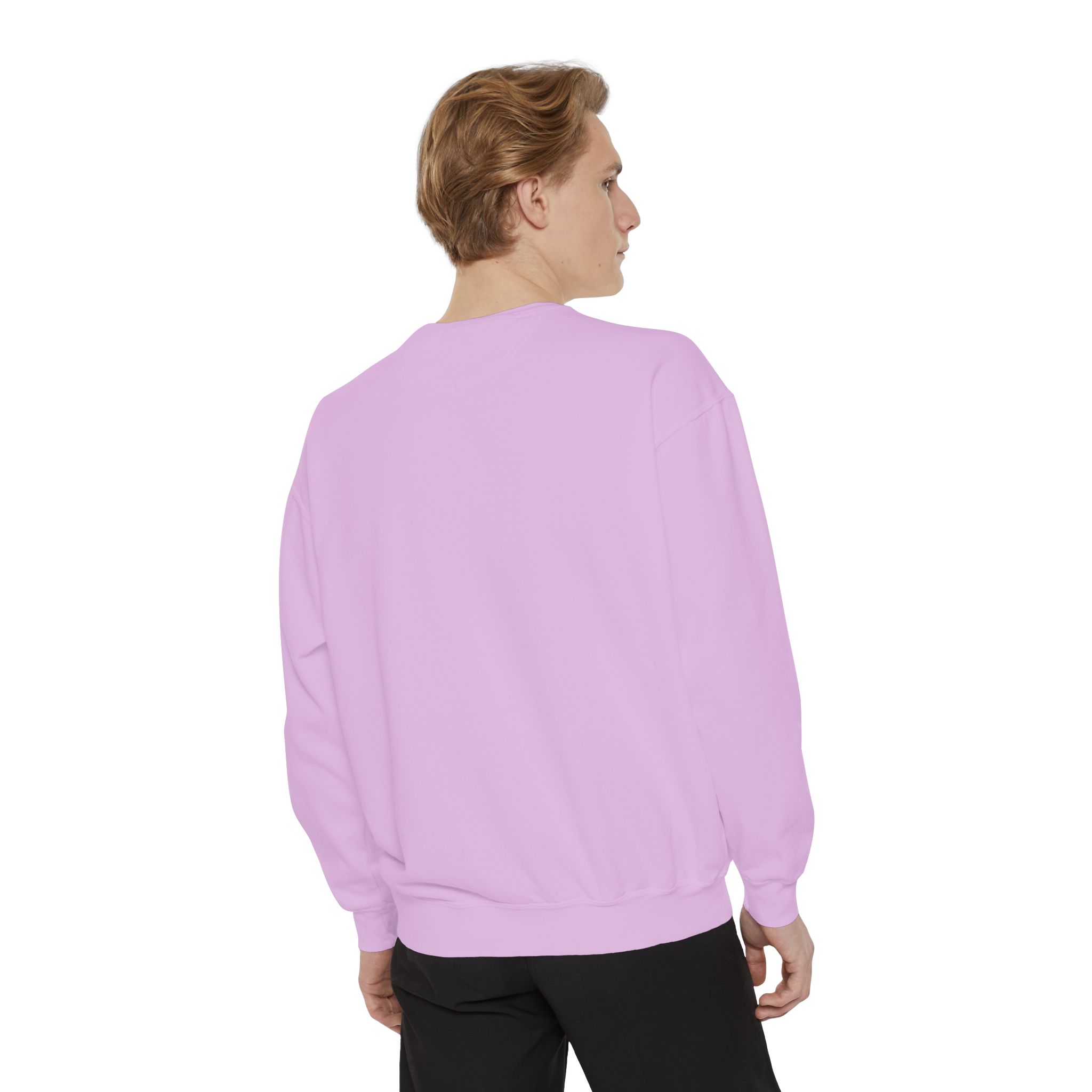 sweatshirt — heart graphic "you are literally the only person i like" — funny valentine's crewneck sweatshirt — heart graphic "you are literally the only person i like" — funny valentine's crewneck