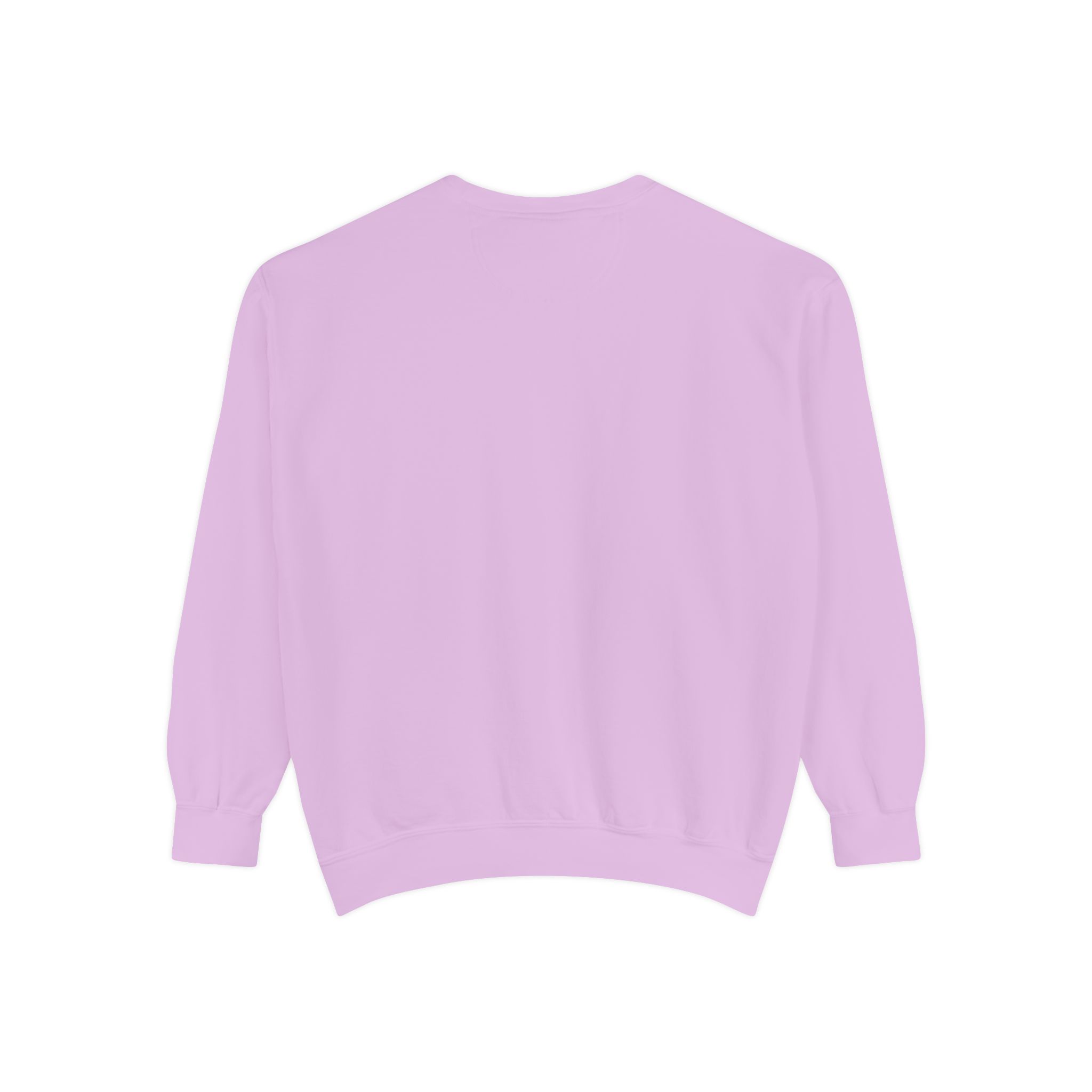 sweatshirt — heart graphic "you are literally the only person i like" — funny valentine's crewneck sweatshirt — heart graphic "you are literally the only person i like" — funny valentine's crewneck