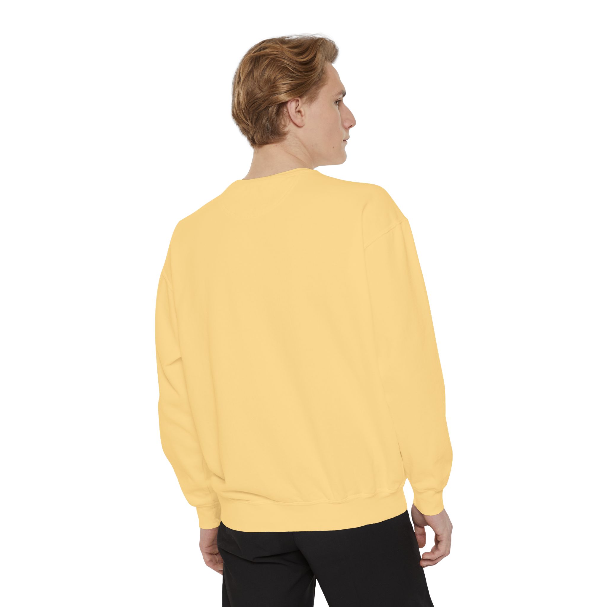 sweatshirt — heart graphic "you are literally the only person i like" — funny valentine's crewneck sweatshirt — heart graphic "you are literally the only person i like" — funny valentine's crewneck