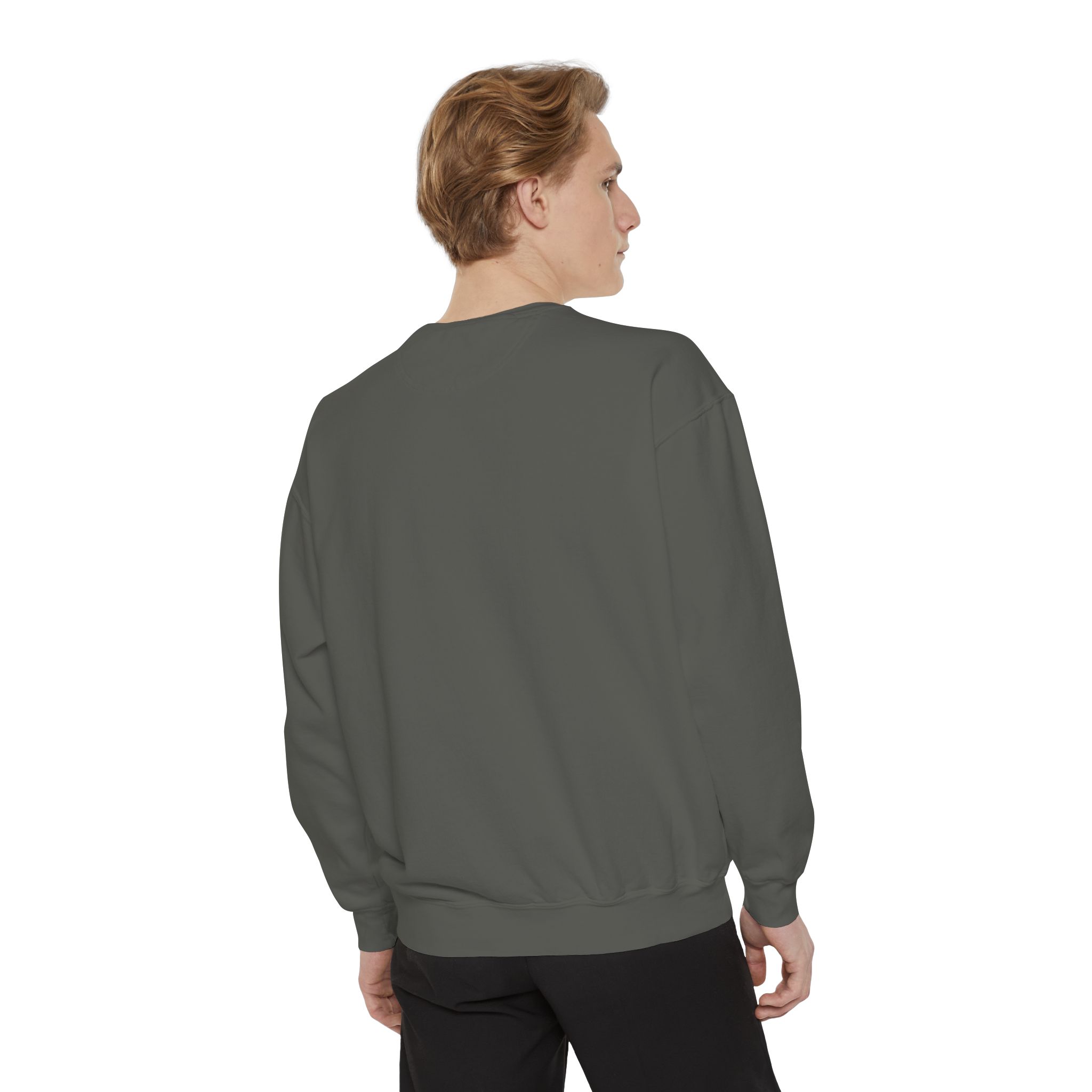 sweatshirt — heart graphic "you are literally the only person i like" — funny valentine's crewneck sweatshirt — heart graphic "you are literally the only person i like" — funny valentine's crewneck